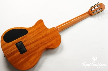 STAGE GUITAR LIMITED - BLUE BURST